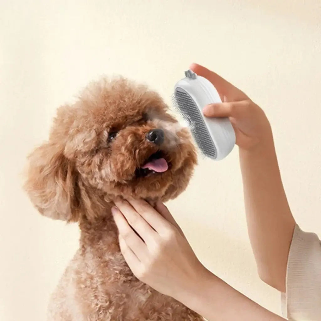 Wireless Electric Pet Hair Brush - Black & Elva
