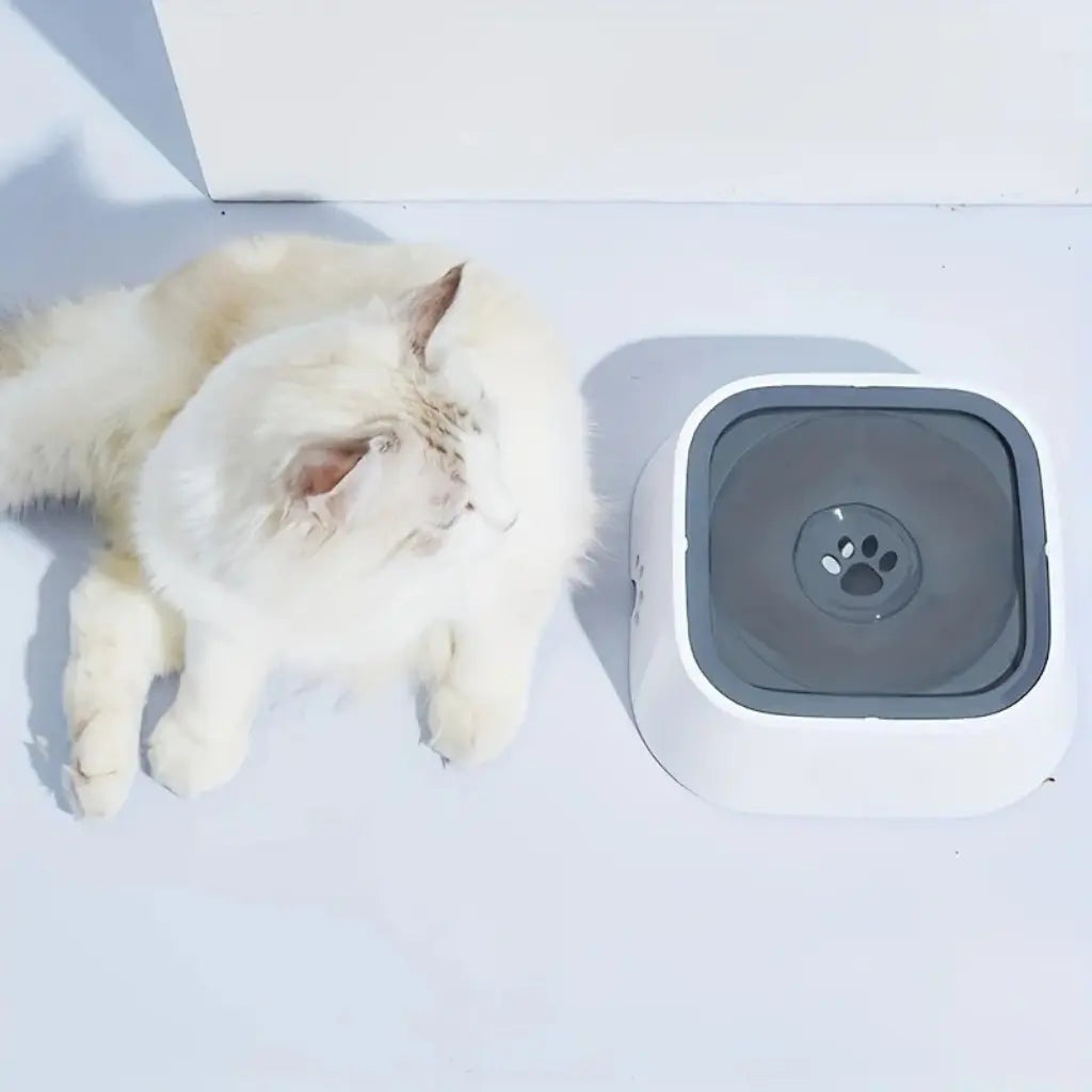 No-Spill Dog Water Bowl - Black & Elva