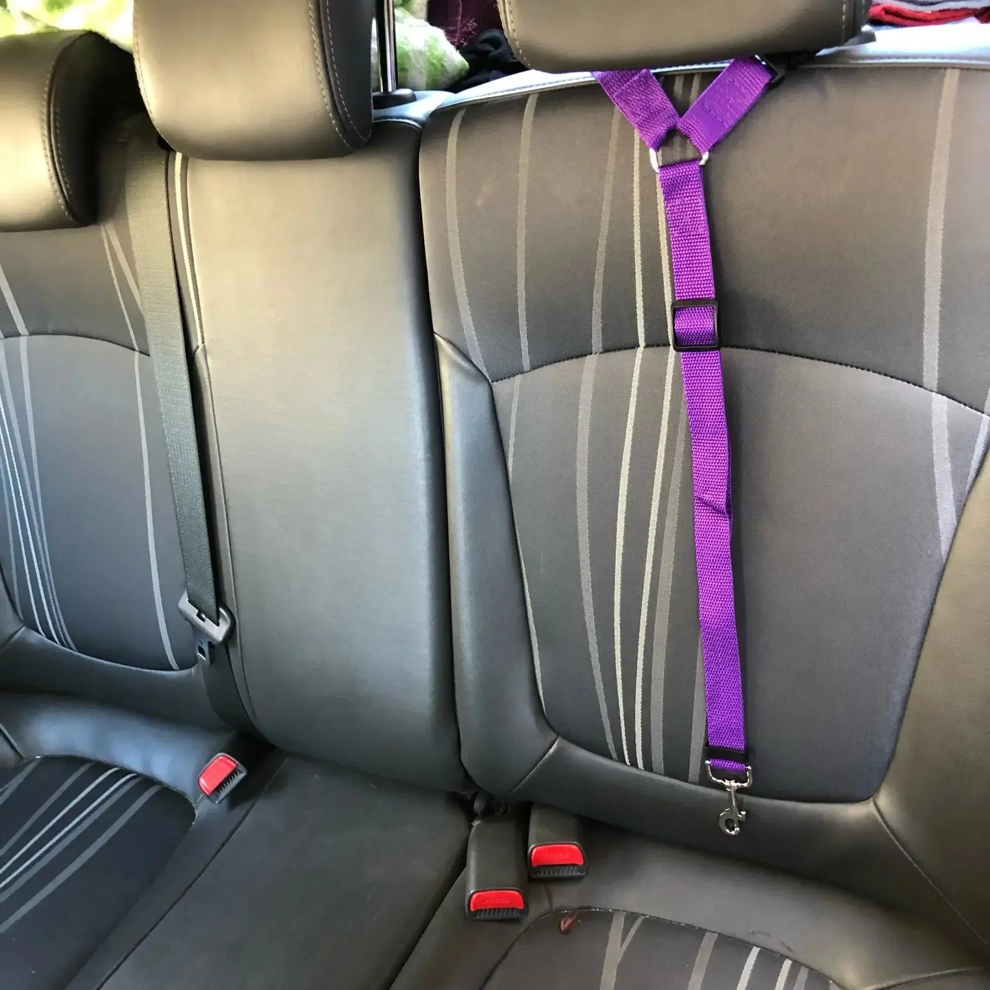 Dog Car Seat Belt - Black & Elva