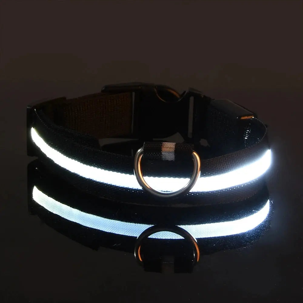 LED Dog Collar - Black & Elva