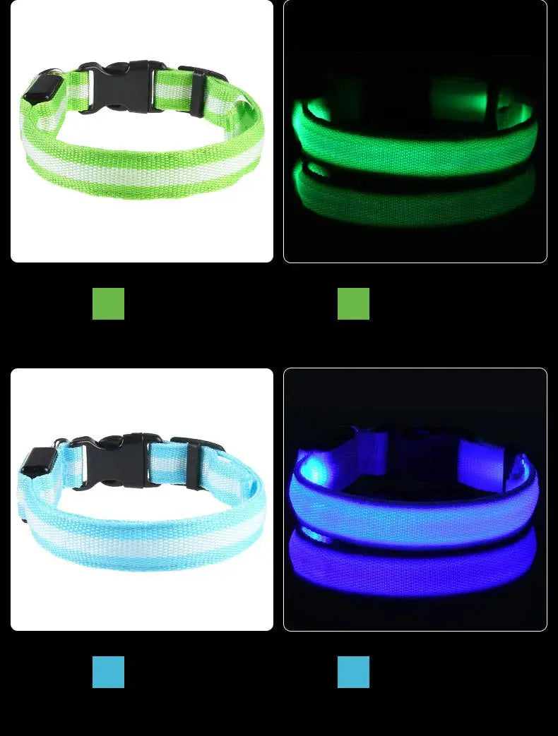 LED Dog Collar - Black & Elva