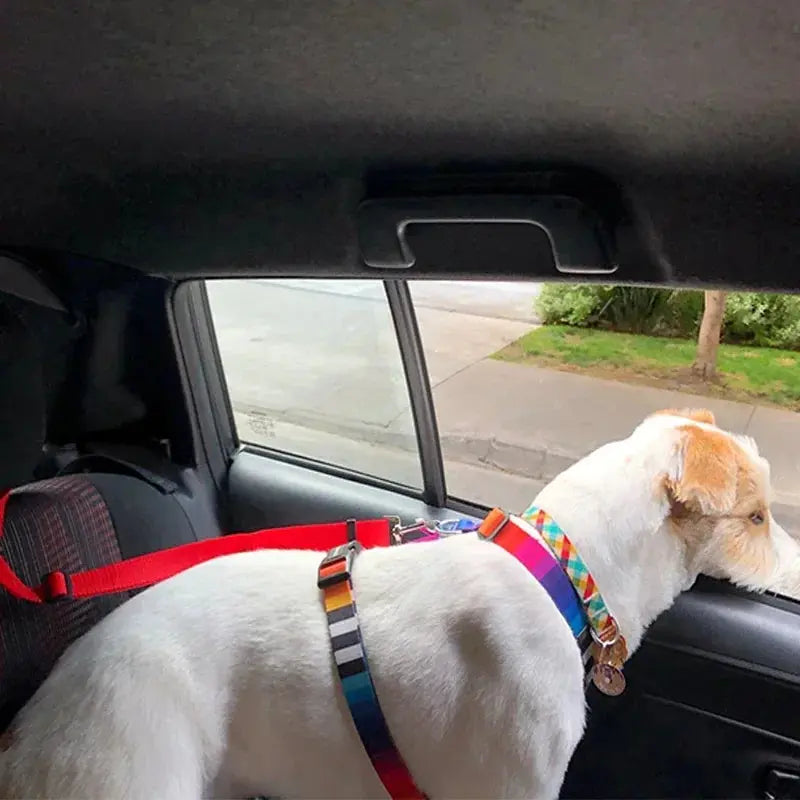 Dog Car Seat Belt - Black & Elva