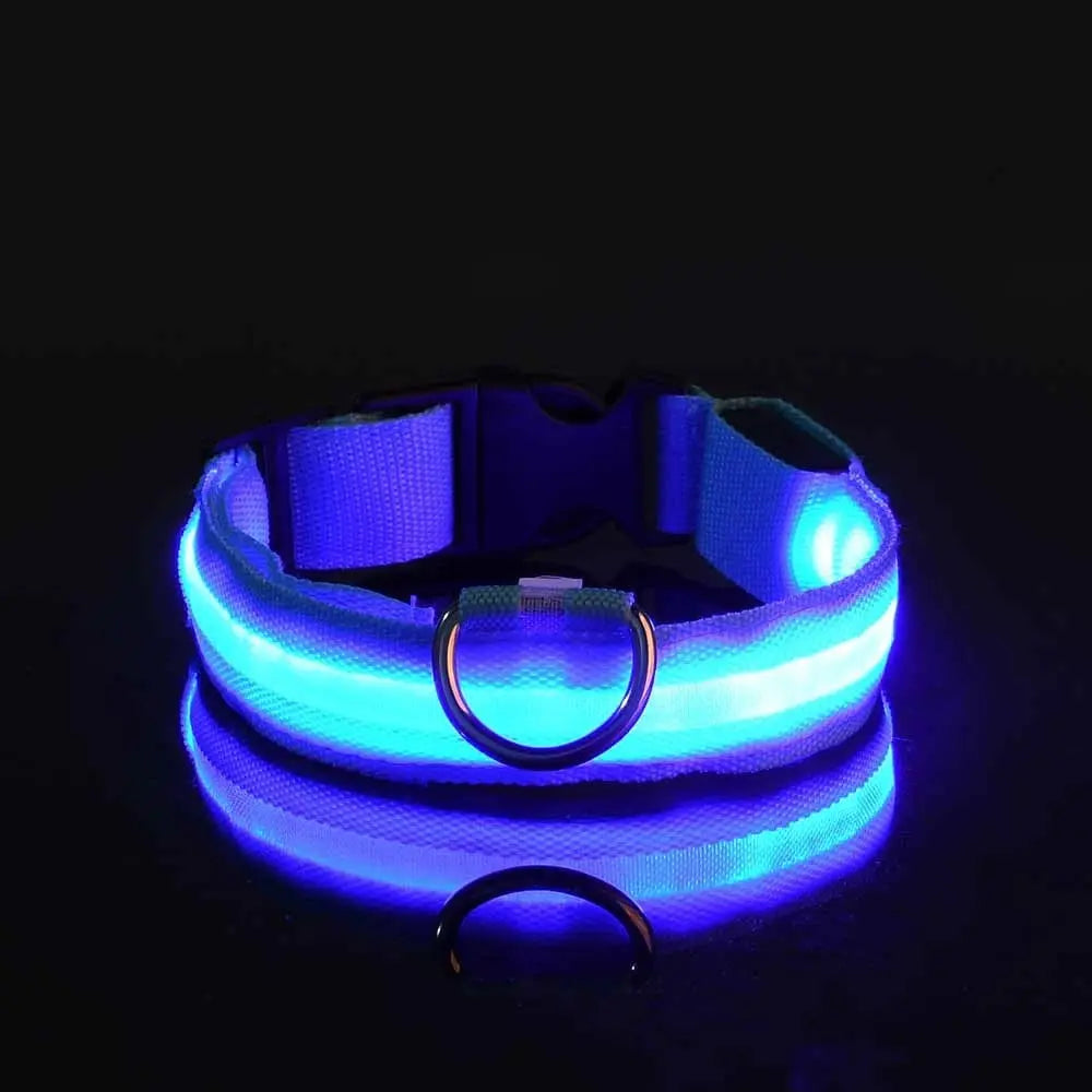 LED Dog Collar - Black & Elva