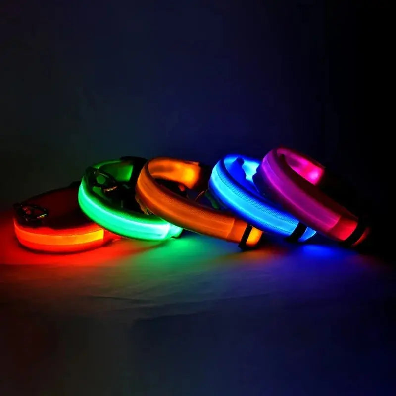 LED Dog Collar - Black & Elva