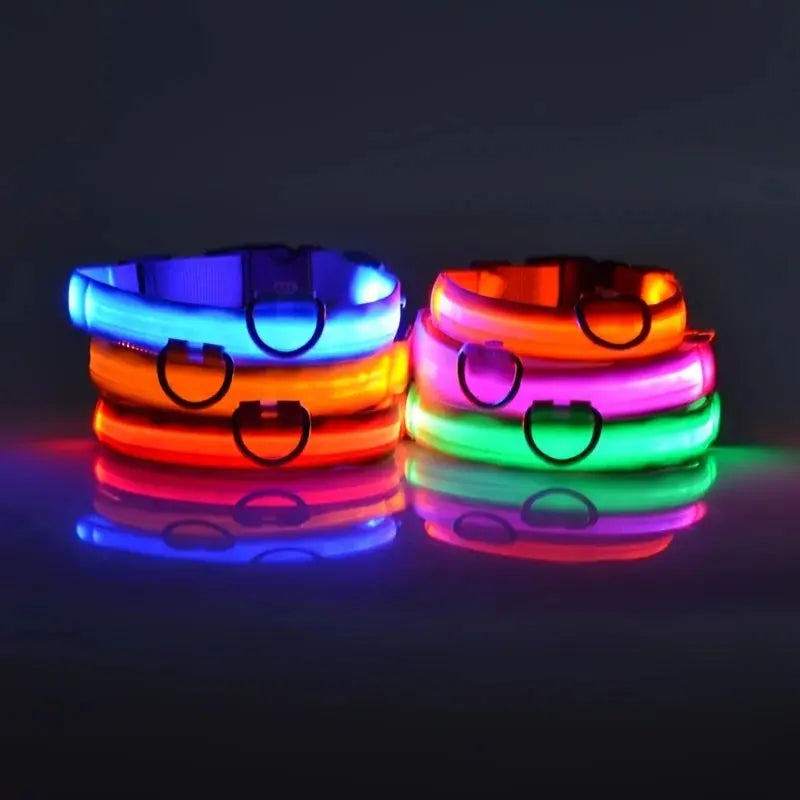 LED Dog Collar - Black & Elva