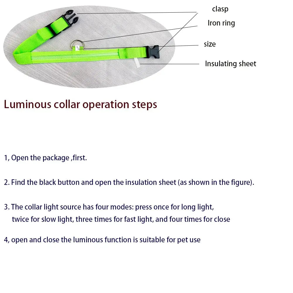 LED Dog Collar - Black & Elva