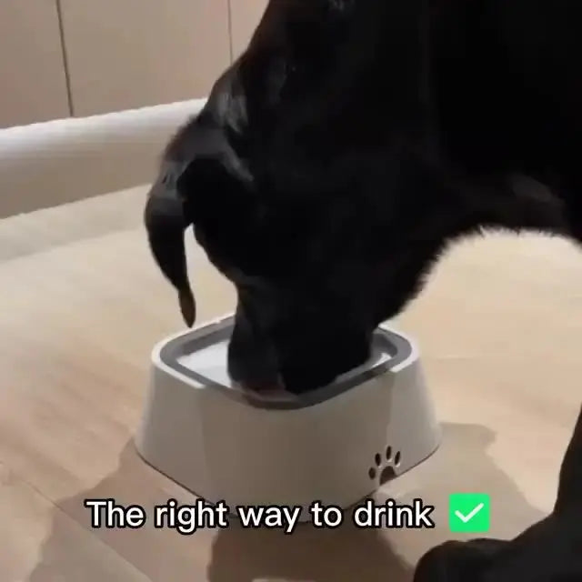 No-Spill Dog Water Bowl - Black & Elva