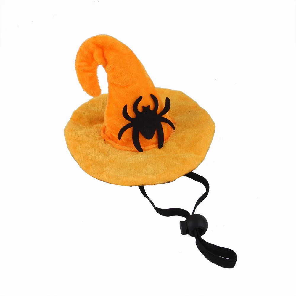 pet accessory halloween jordan