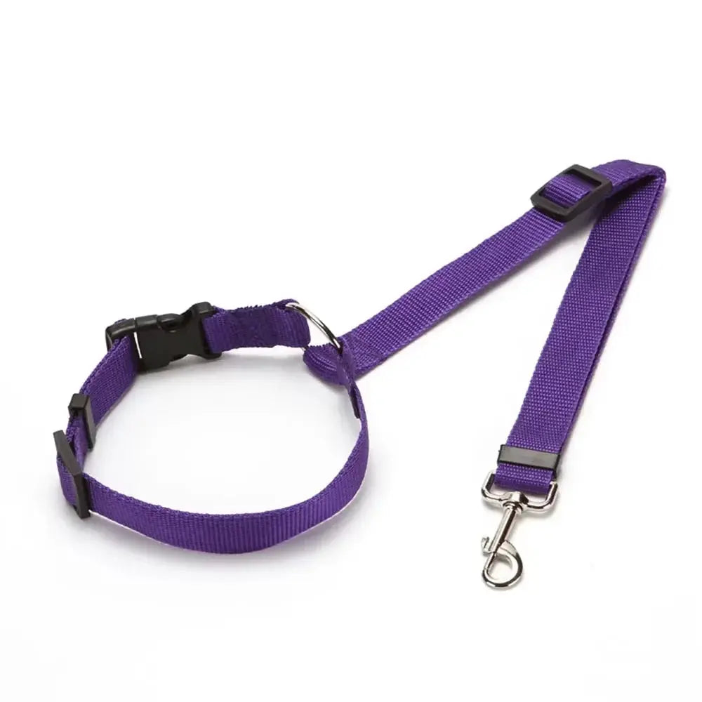Dog Car Seat Belt - Black & Elva