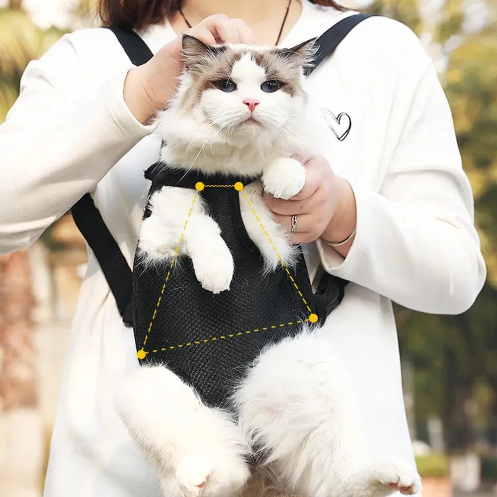 Pet Backpack - Black & Elva