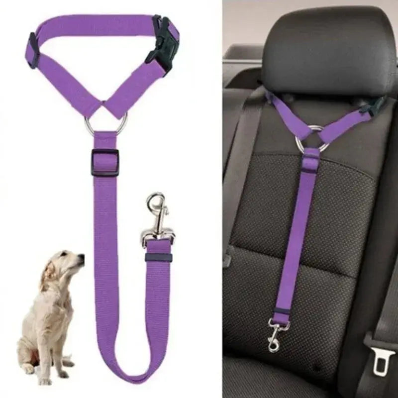 Dog Car Seat Belt - Black & Elva