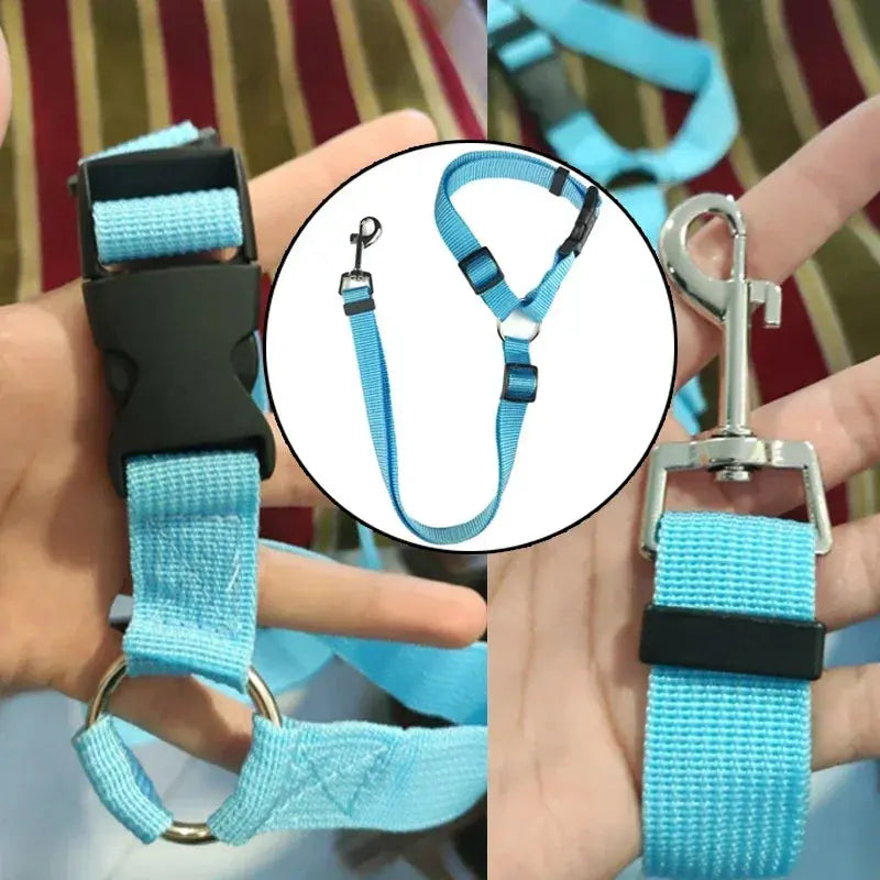 Dog Car Seat Belt - Black & Elva
