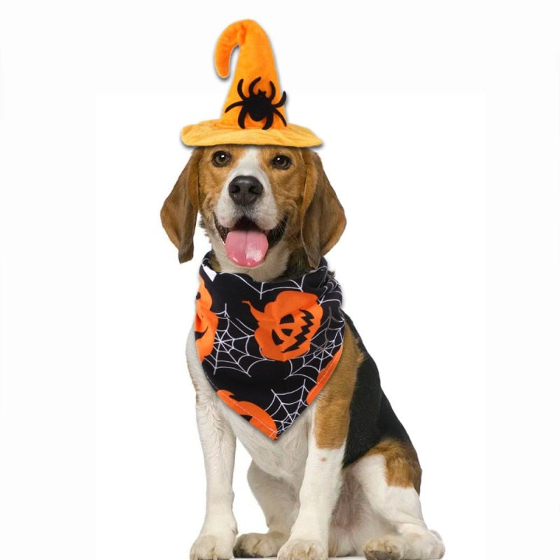 festive dog bandana halloween