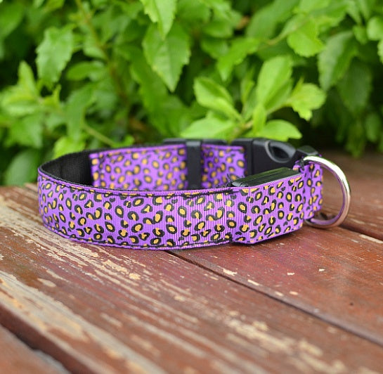 LED Dog Collar Safety Adjustable Nylon Leopard Pet Collar - Black & Elva