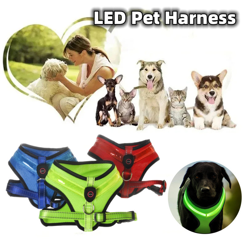 LED Reflective Dog Harness – USB Rechargeable Safety Vest for Small to Large Dogs - Black & Elva
