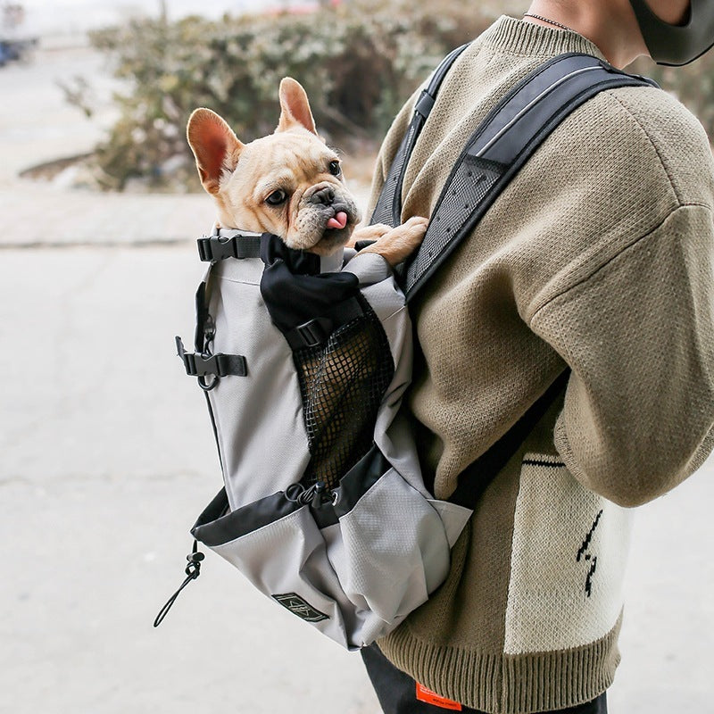 Portable Double Shoulder Dog Carrier Backpack – Travel & Outdoor Pet Bag - Black & Elva