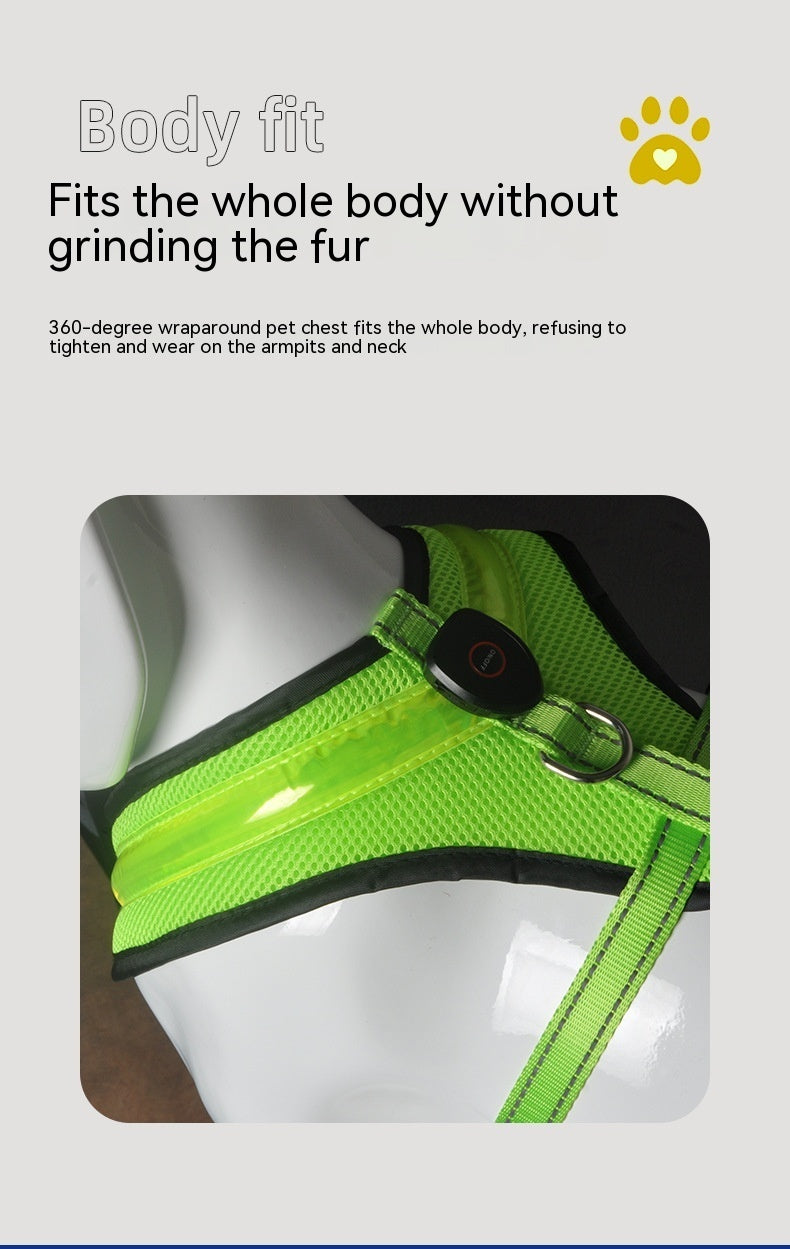 LED Reflective Dog Harness – USB Rechargeable Safety Vest for Small to Large Dogs - Black & Elva