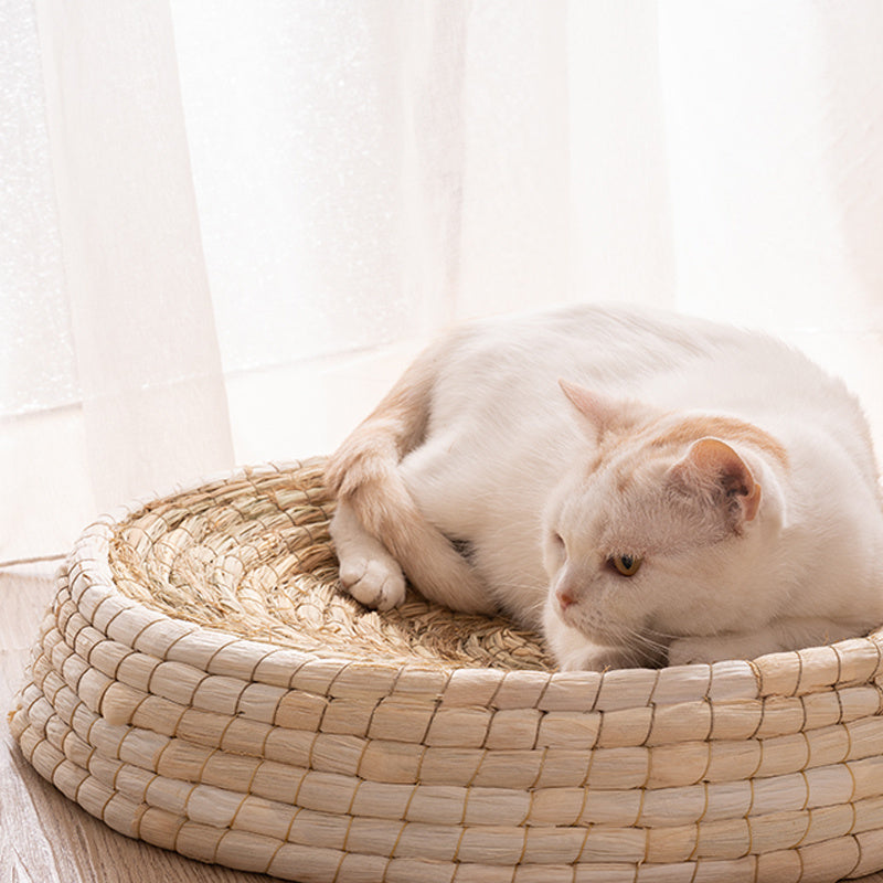 Teng Wok Felt House Cat Bed - Black & Elva