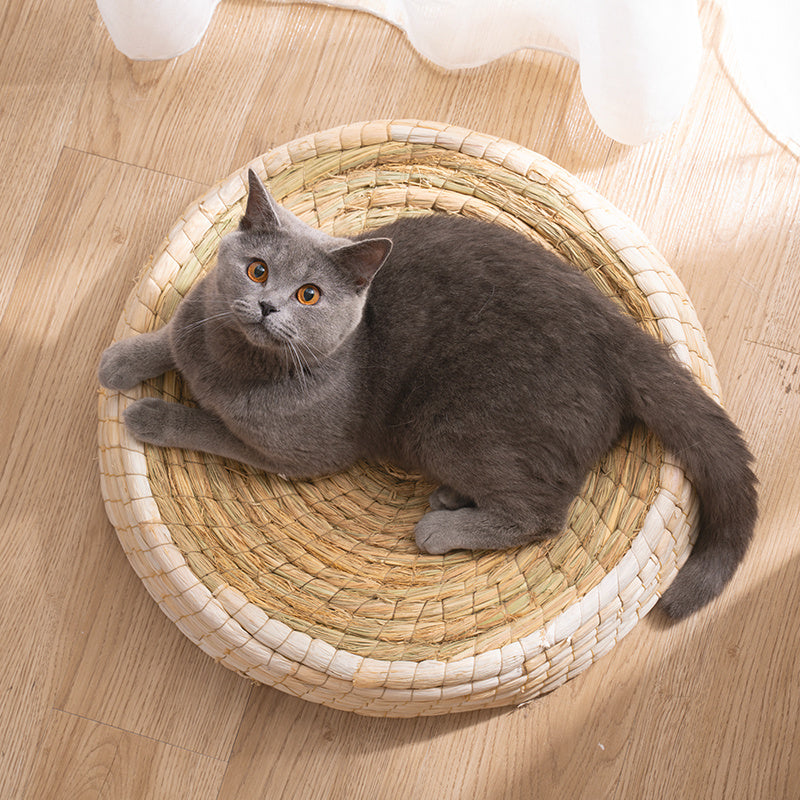 Teng Wok Felt House Cat Bed - Black & Elva