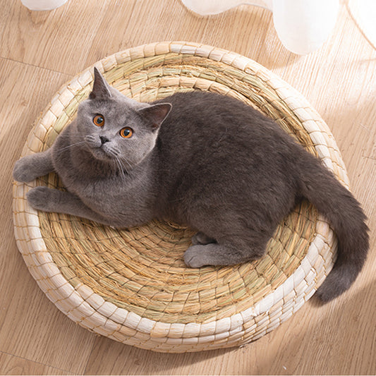 Teng Wok Felt House Cat Bed - Black & Elva