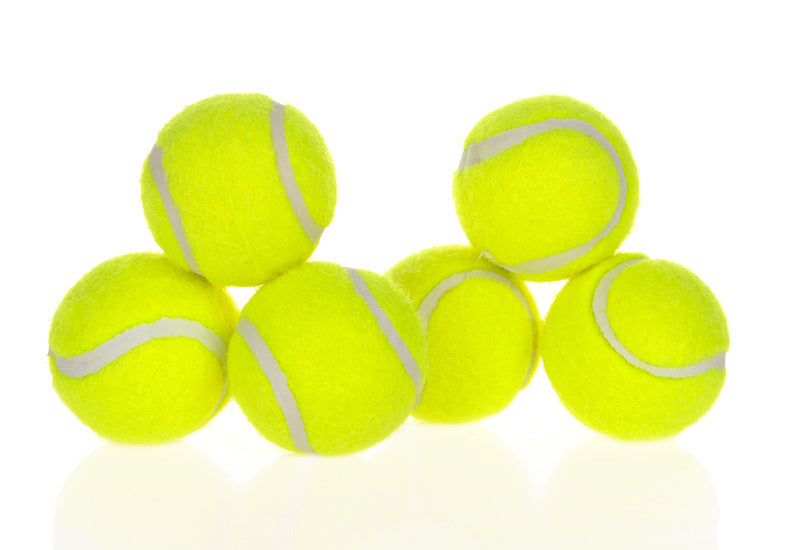 Dog Pet Automatic Interactive Ball Launcher - Black & Elva