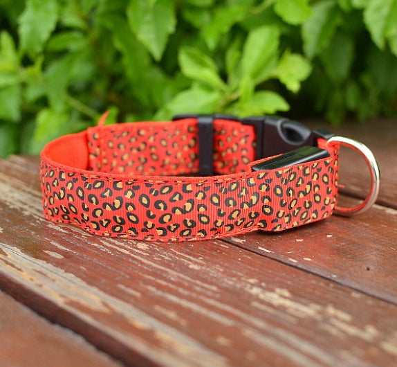 LED Dog Collar Safety Adjustable Nylon Leopard Pet Collar - Black & Elva