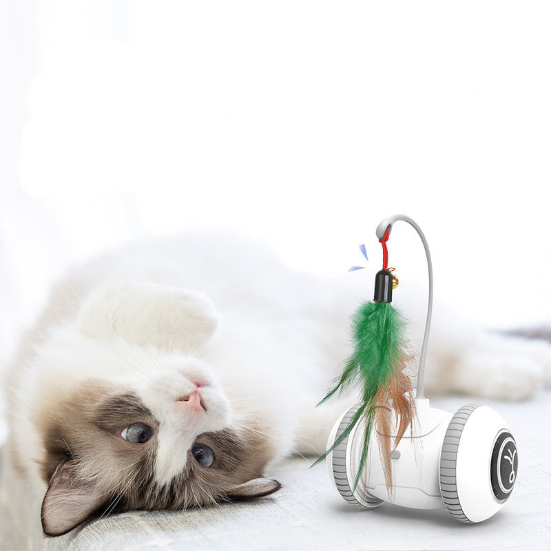 Interactive Cat Toy With Interchangeable Heads  Pet Feather Toys - Black & Elva