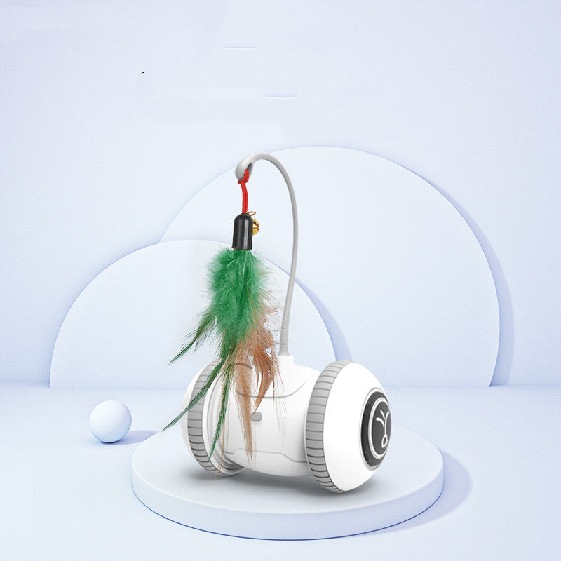 Interactive Cat Toy With Interchangeable Heads  Pet Feather Toys - Black & Elva