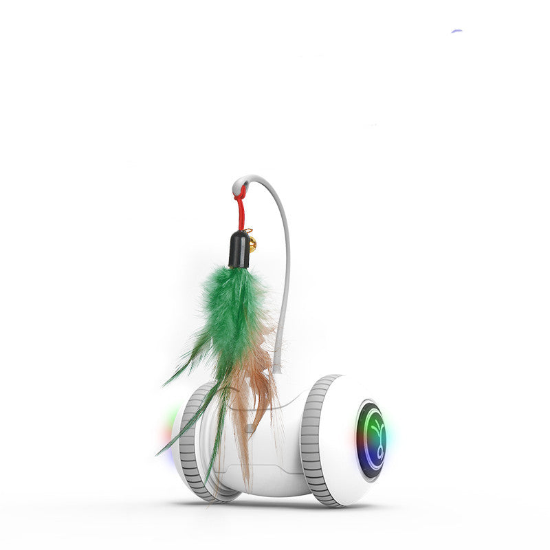Interactive Cat Toy With Interchangeable Heads  Pet Feather Toys - Black & Elva