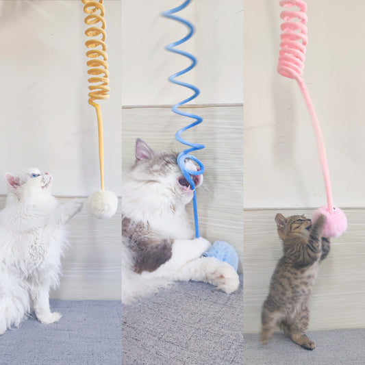 Cat Toy Self-Hi Sucker Spring Rabbit Hair Ball Interactive Play Pet Supplies Interactive Toys - Black & Elva
