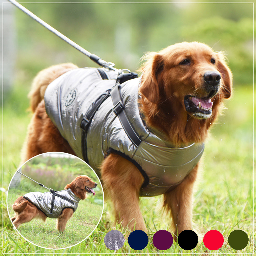 Waterproof Winter Dog Coat with Harness – Warm Jacket for Small & Large Dogs - Black & Elva