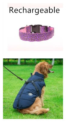 LED Dog Collar Safety Adjustable Nylon Leopard Pet Collar - Black & Elva