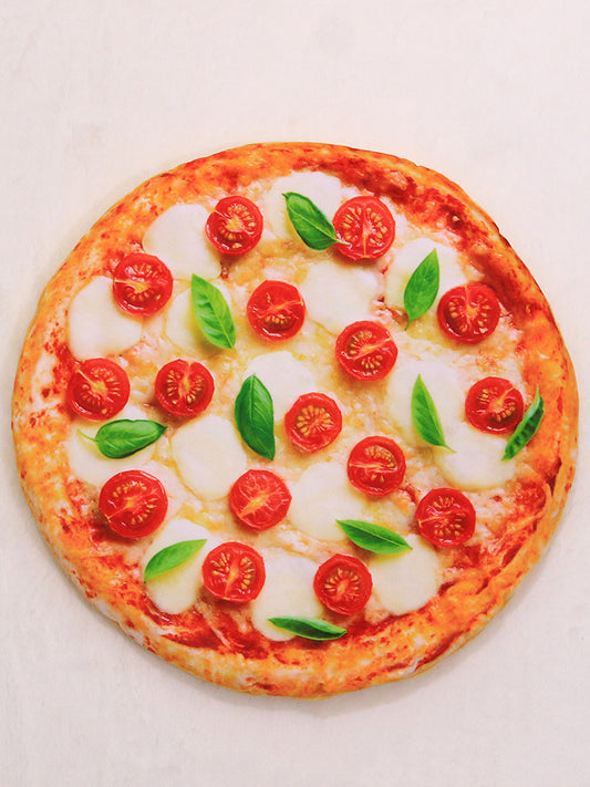 blanket for cats and dogs soft thick