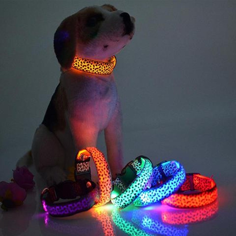 LED Dog Collar Safety Adjustable Nylon Leopard Pet Collar - Black & Elva