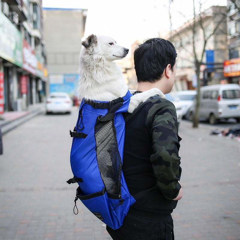 Portable Double Shoulder Dog Carrier Backpack – Travel & Outdoor Pet Bag - Black & Elva