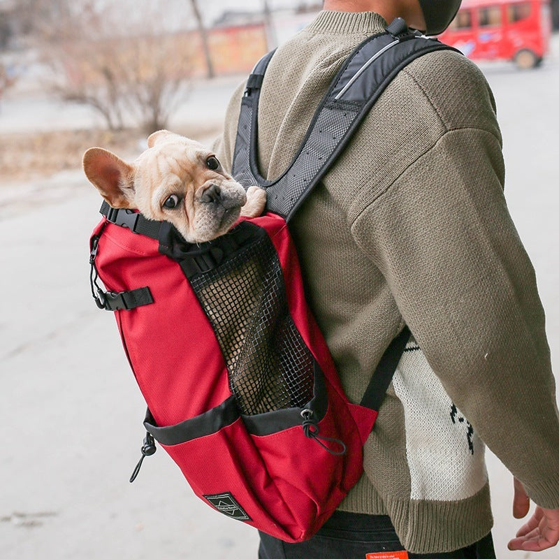 Portable Double Shoulder Dog Carrier Backpack – Travel & Outdoor Pet Bag - Black & Elva
