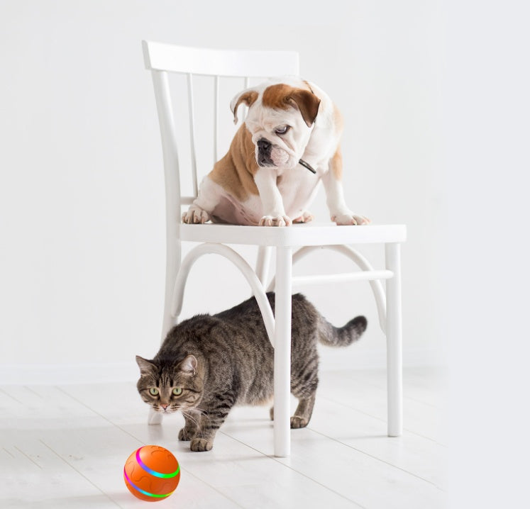 Pet New Cat Wicked Ball Toy Intelligent Ball USB Cat Toys Self Rotating Ball Automatic Rotation Ball - Black & Elva
