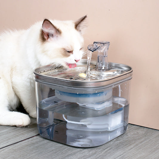 Automatic Stainless Steel Pet Water Fountain – Smart Circulating Dispenser for Cats & Dogs - Black & Elva