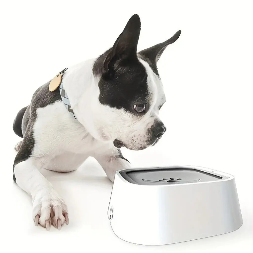 No-Spill Dog Water Bowl - Black & Elva