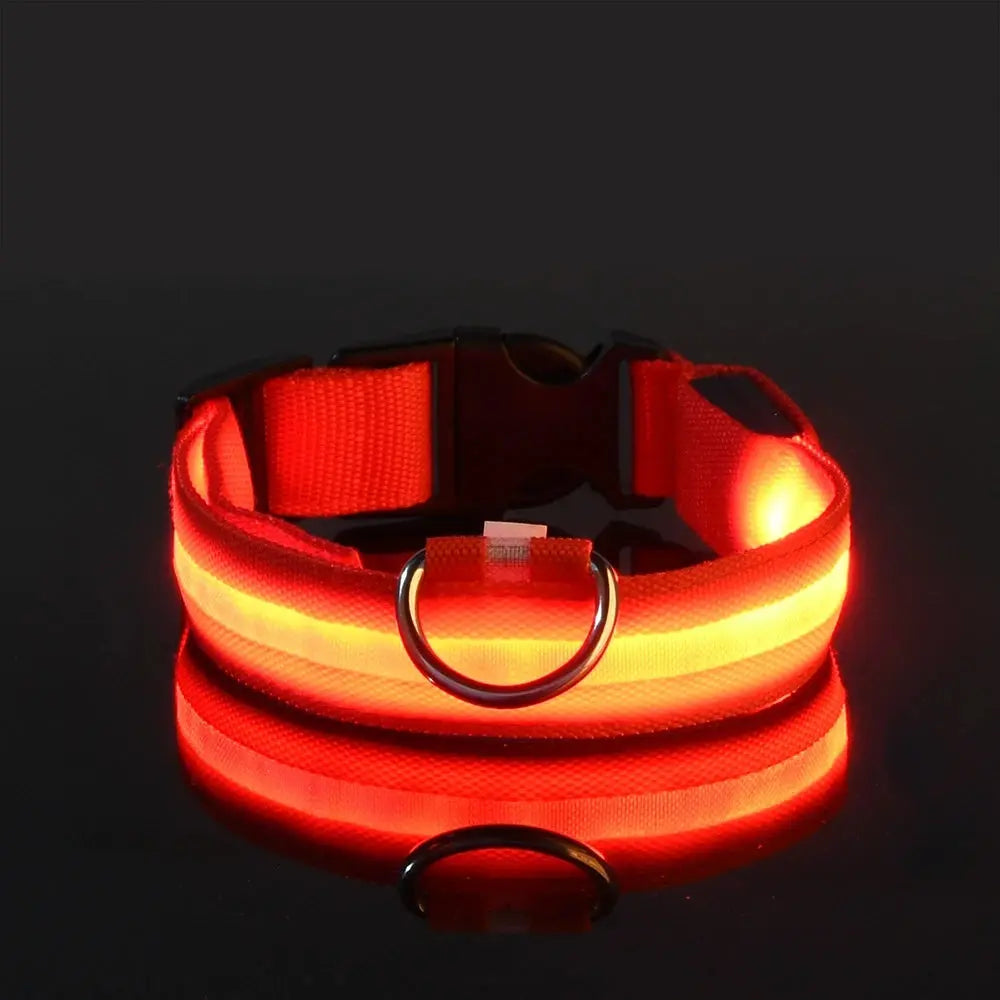 LED Dog Collar - Black & Elva