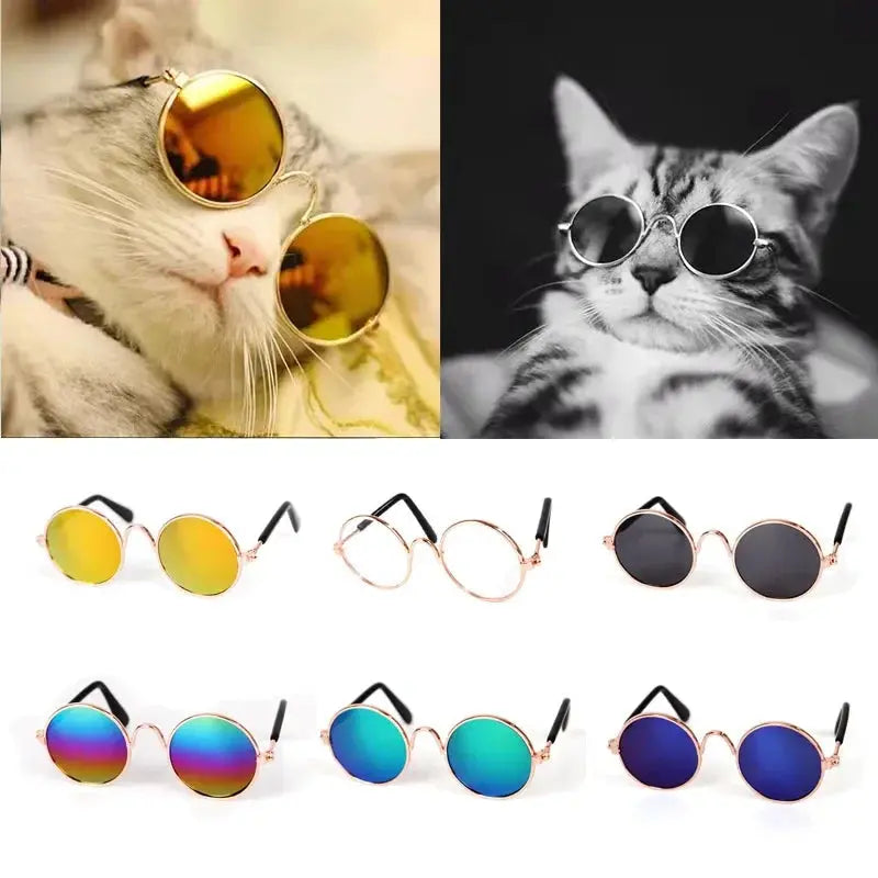 Pet Sunglasses - Black & Elva