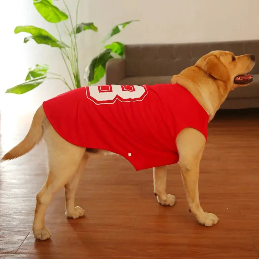 Quick Dry Dog Shirt - Black & Elva