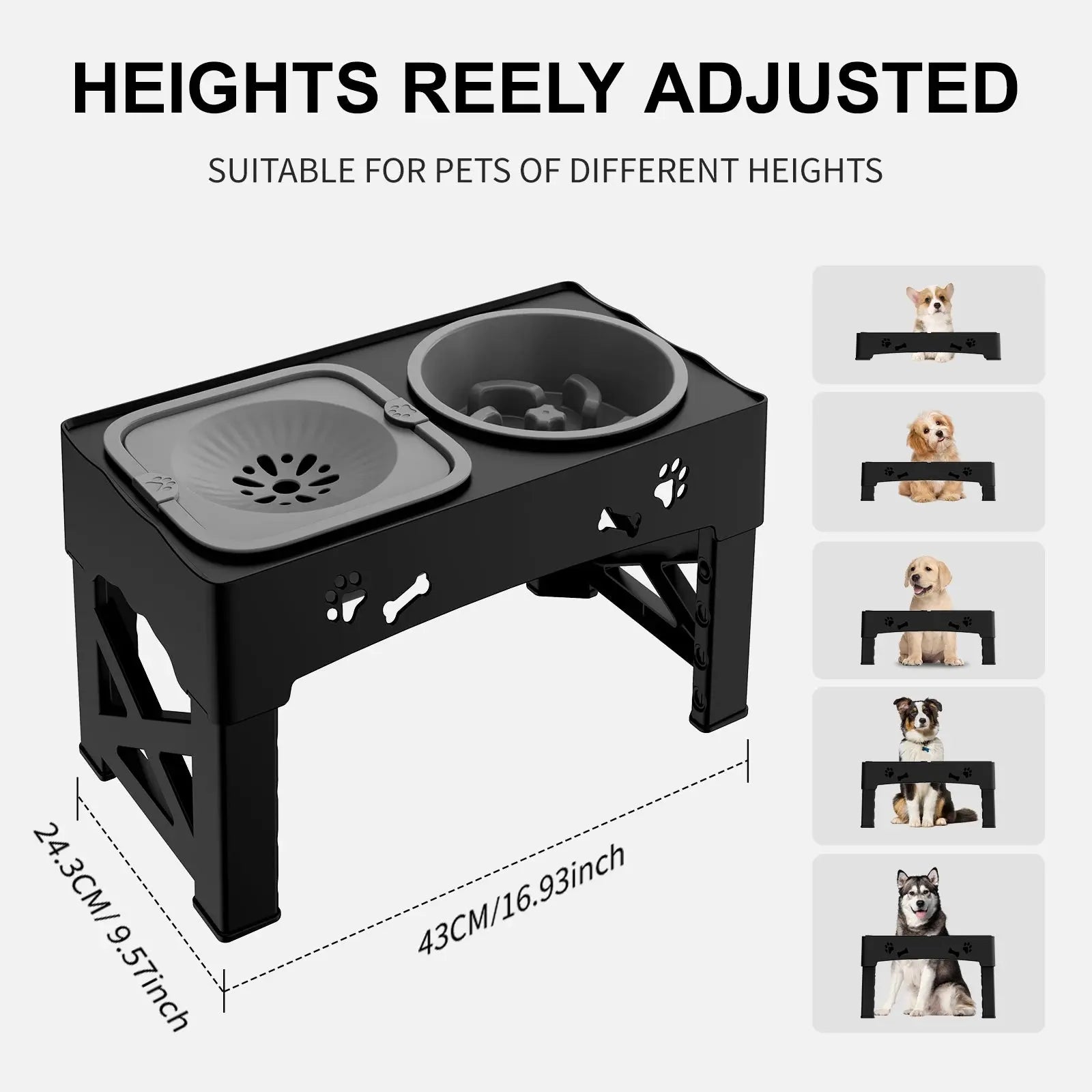 Double Elevated Bowls for Pets - Black & Elva