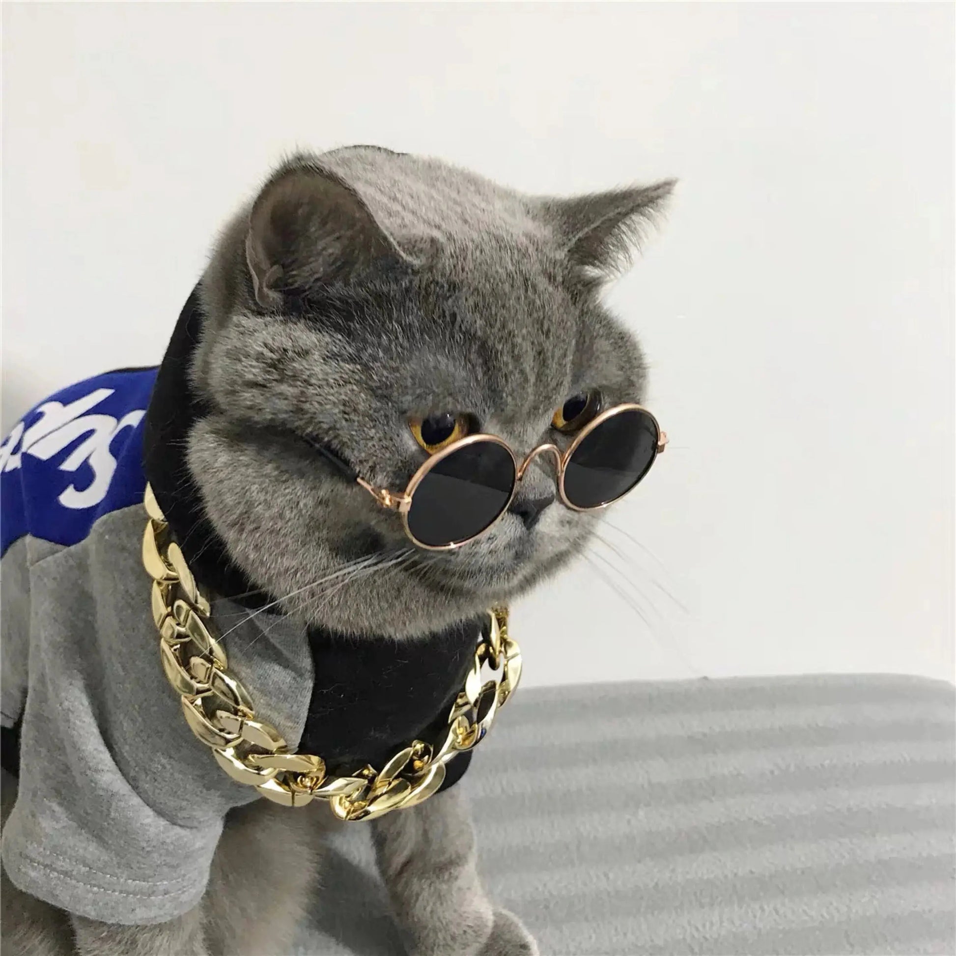 Vintage Pet Sunglasses - Black & Elva