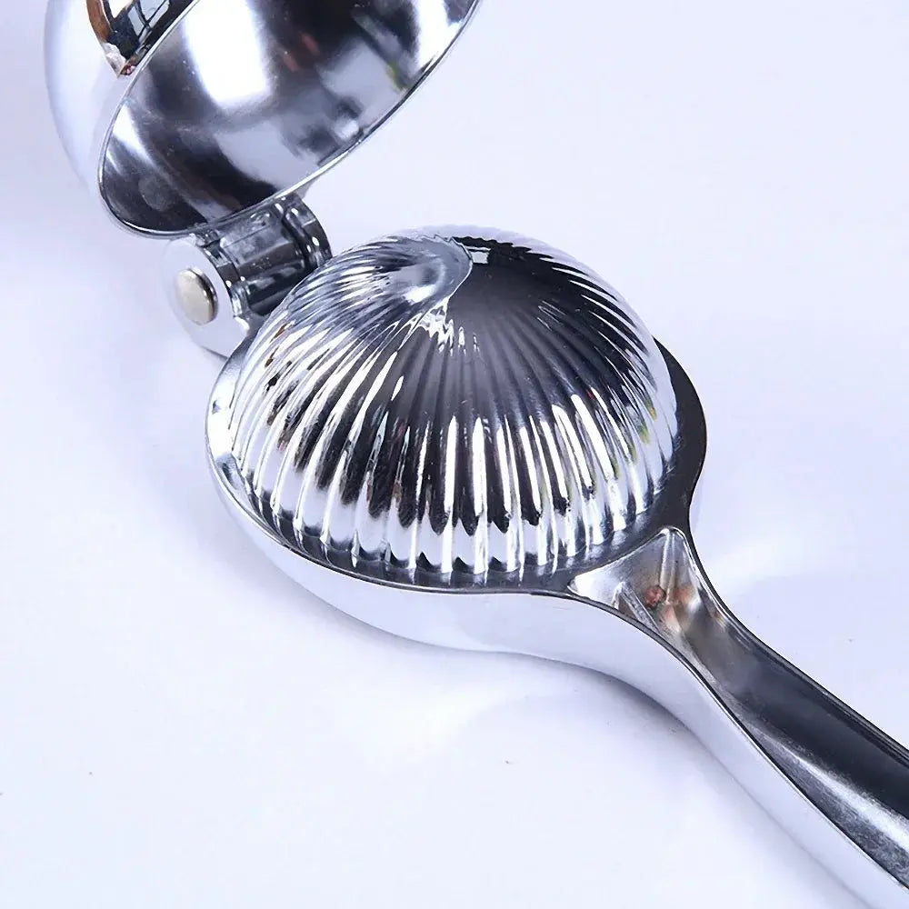 Stainless Steel Citrus Juicer - Black & Elva