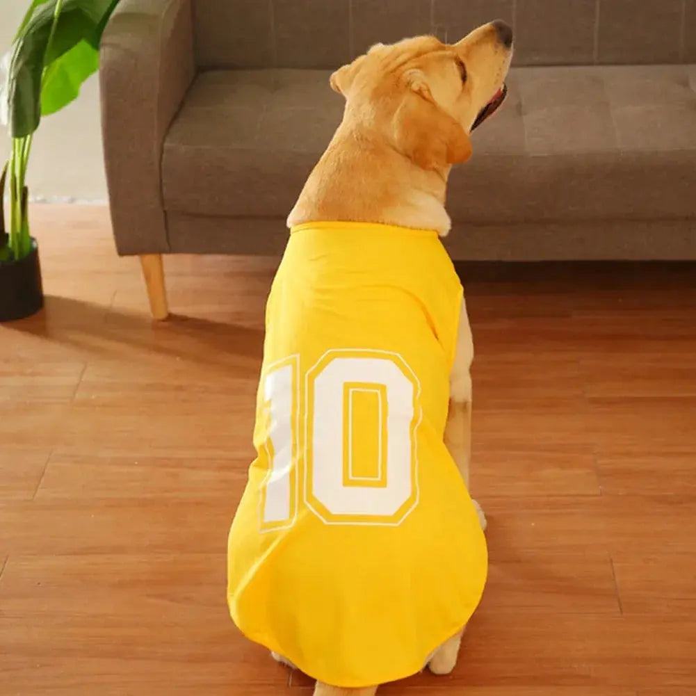 Quick Dry Dog Shirt - Black & Elva