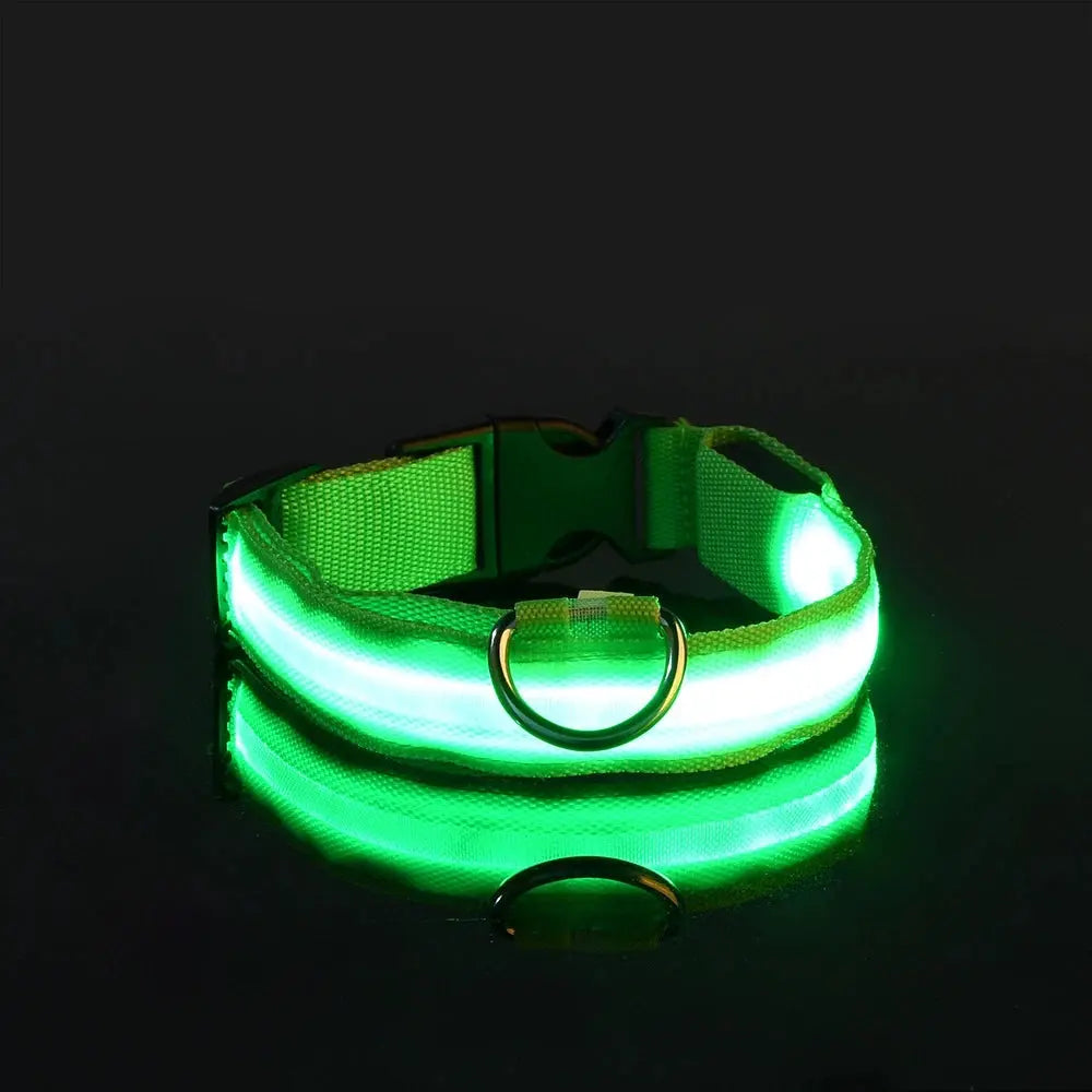 LED Dog Collar - Black & Elva