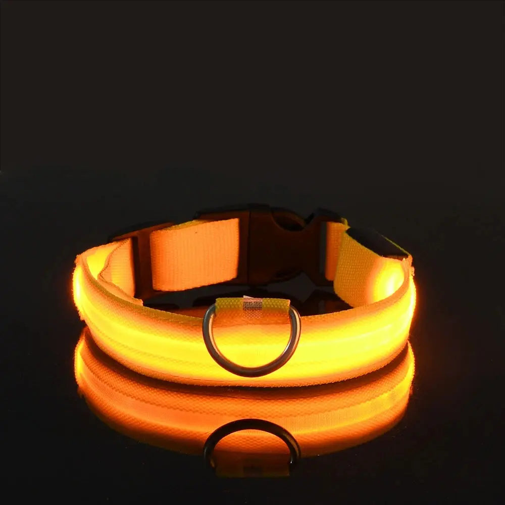 LED Dog Collar - Black & Elva