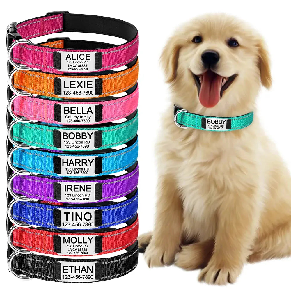 Custom Dog Collar - Black & Elva