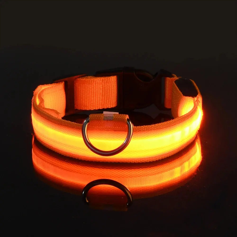 LED Dog Collar - Black & Elva